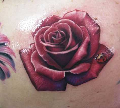 tatu_roza-11