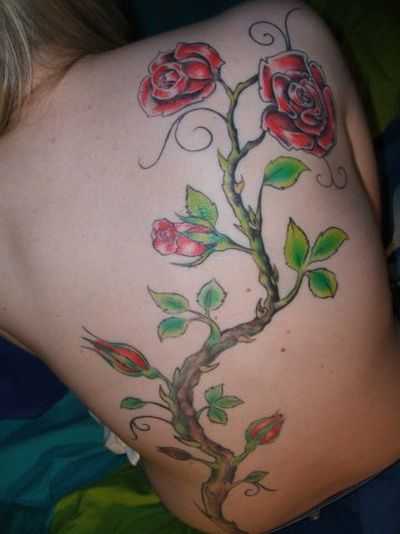 tatu_roza-115