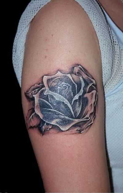 tatu_roza-120