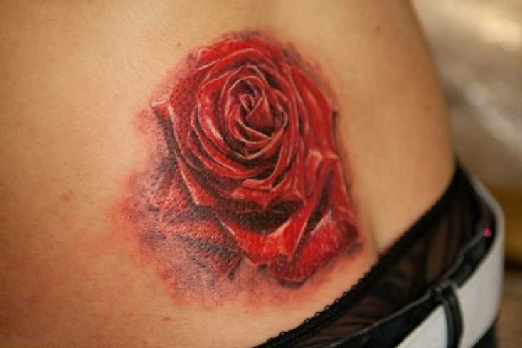 tatu_roza-124