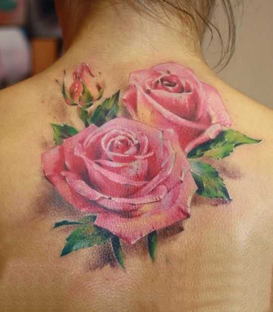 tatu_roza-129