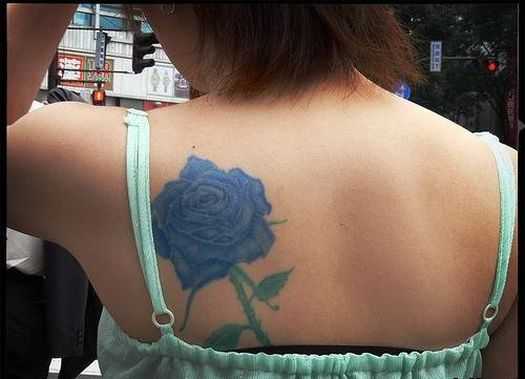 tatu_roza-138