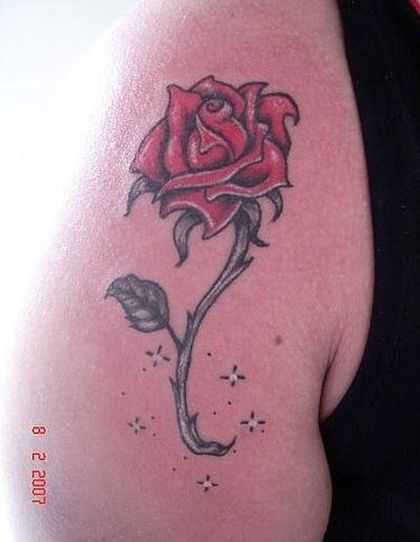 tatu_roza-140