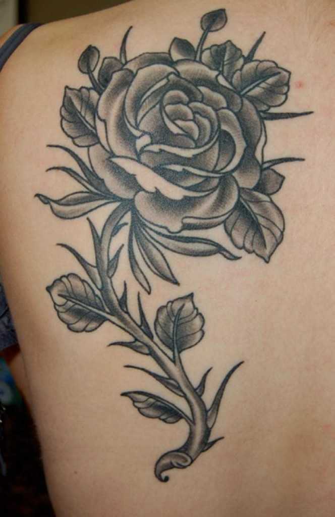tatu_roza-165