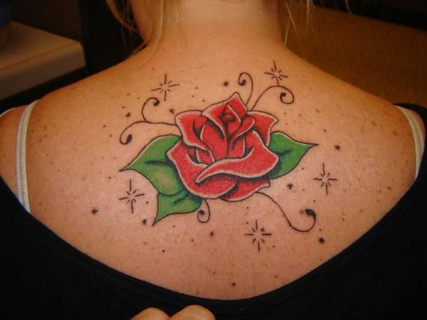 tatu_roza-198