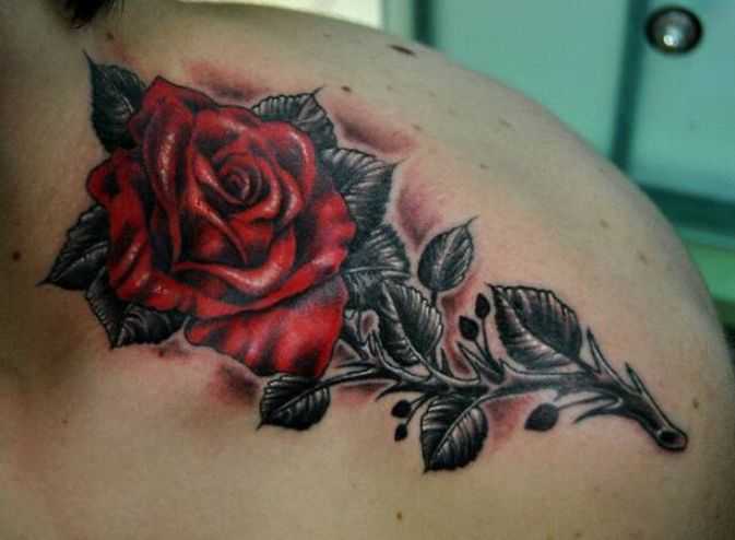 tatu_roza-200