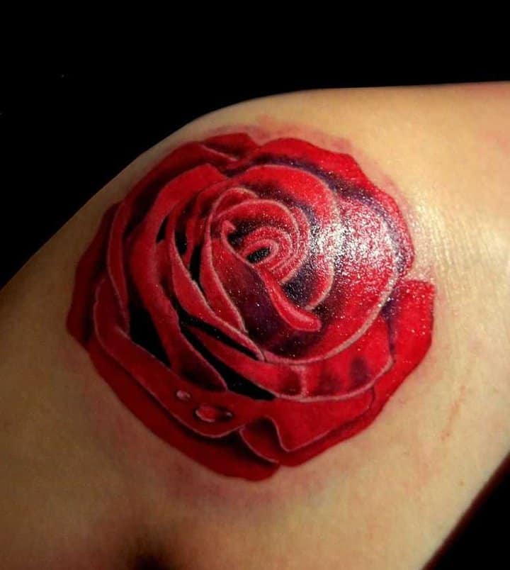 tatu_roza-217