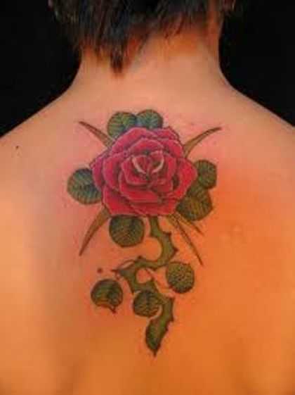 tatu_roza-252