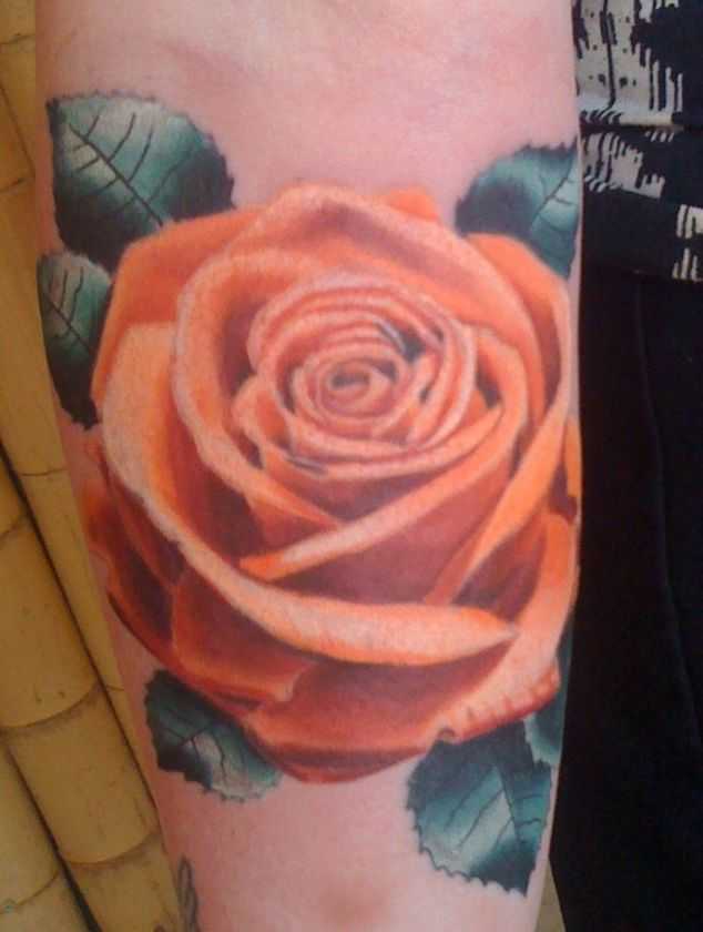 tatu_roza-274
