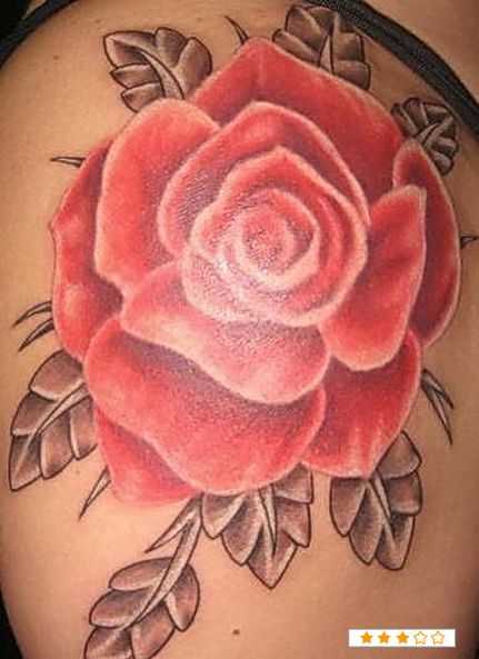 tatu_roza-285