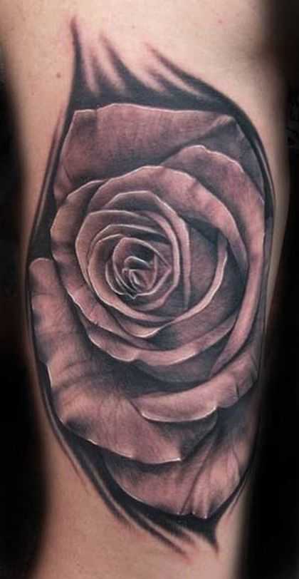 tatu_roza-288
