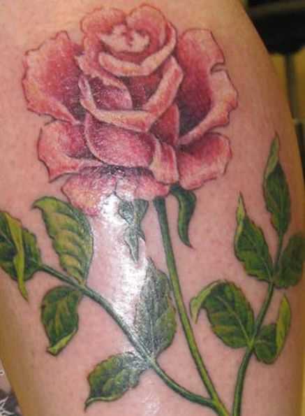 tatu_roza-384