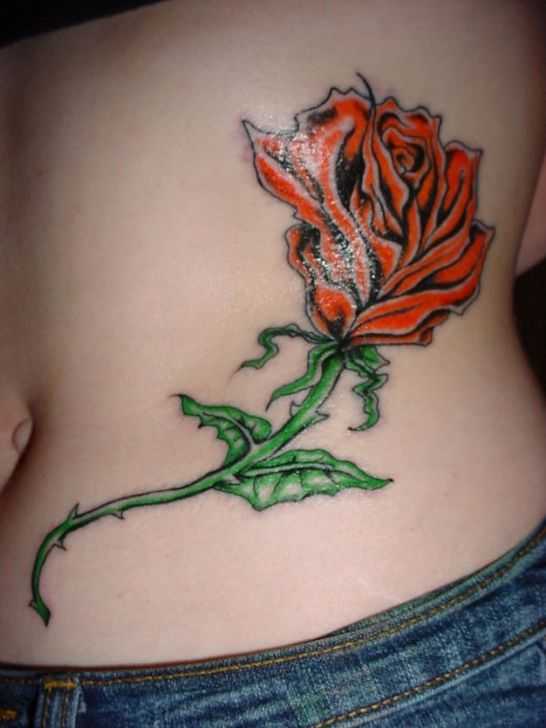tatu_roza-392