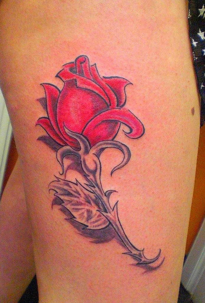 tatu_roza-423