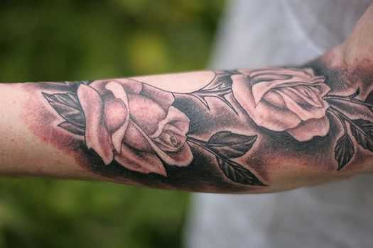 tatu_roza-435