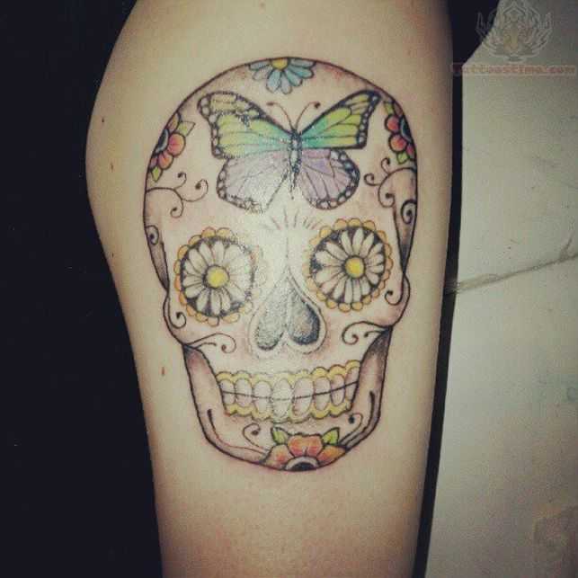 tatu_saharcherep-193