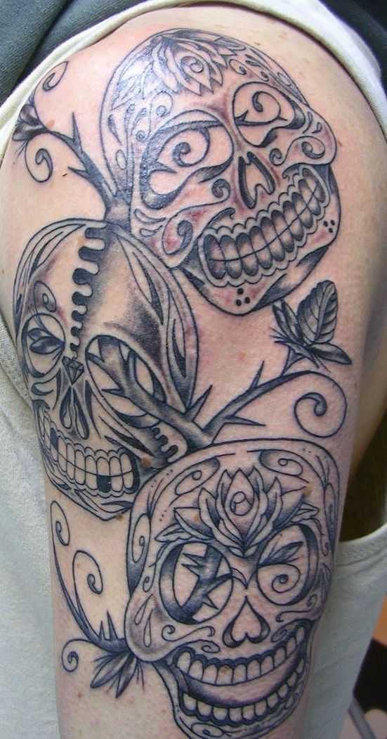 tatu_saharcherep-252