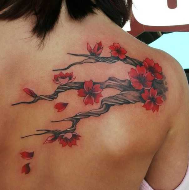 tatu_sakura-105