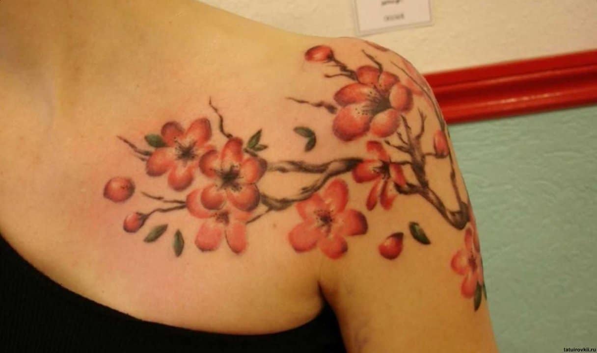 tatu_sakura-165