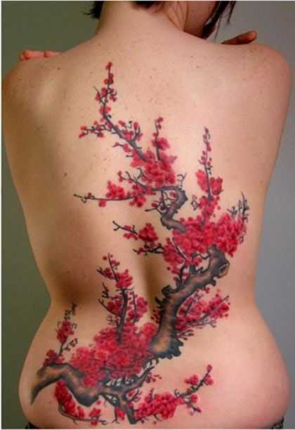 tatu_sakura-215