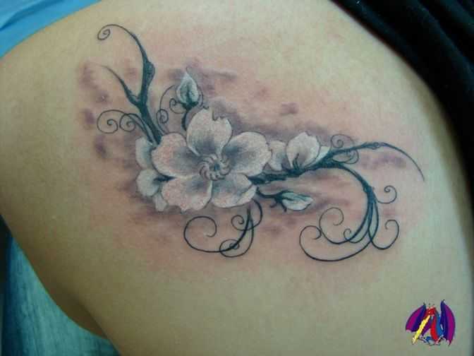tatu_sakura-23
