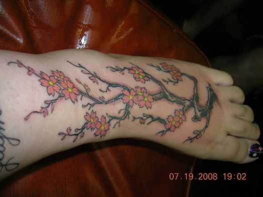 tatu_sakura-234