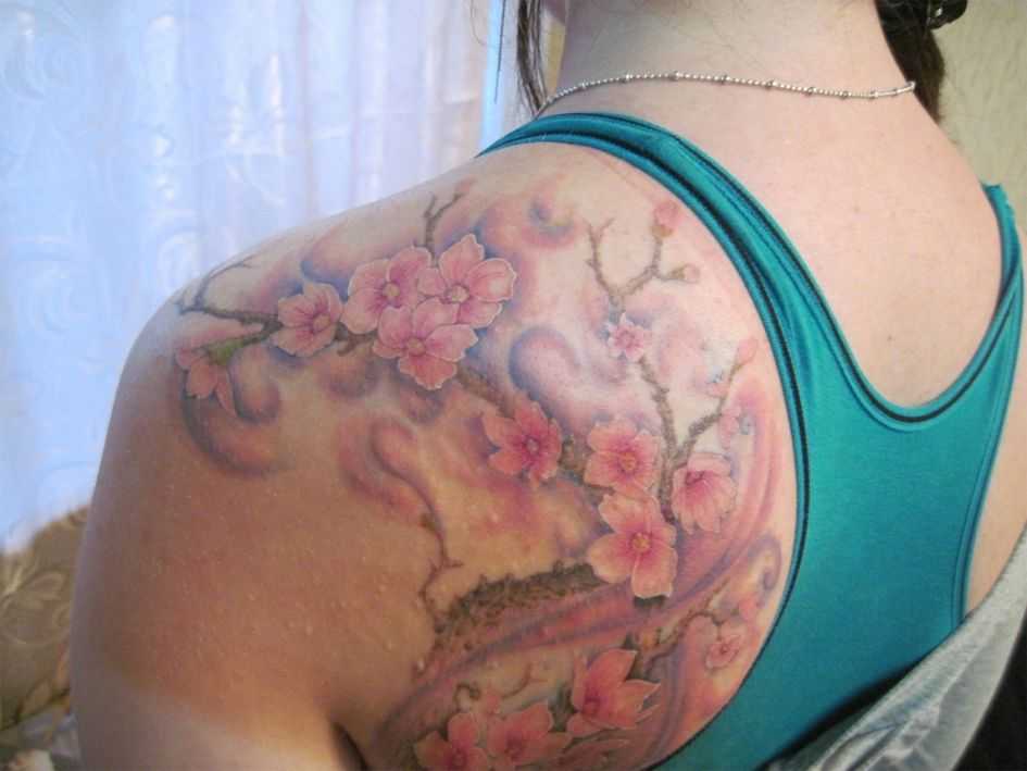tatu_sakura-236