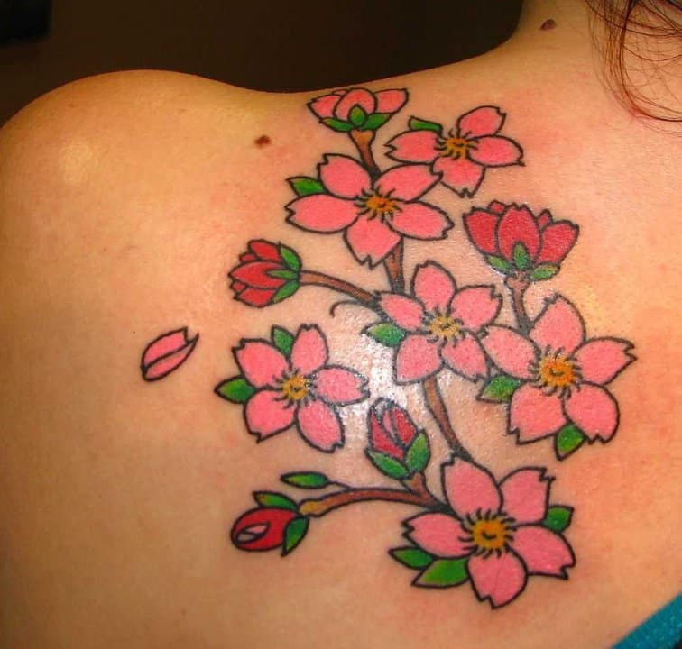 tatu_sakura-256