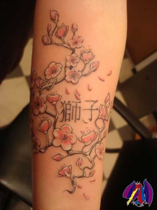 tatu_sakura-26