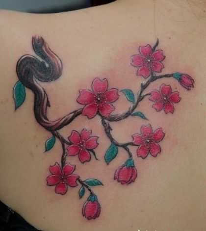 tatu_sakura-282