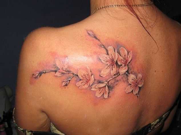 tatu_sakura-286