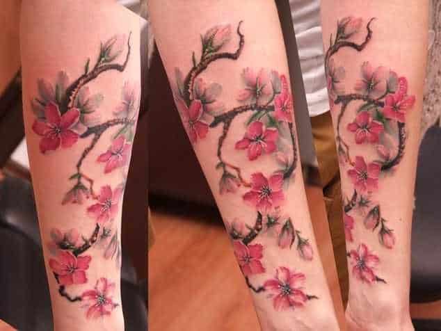 tatu_sakura-287