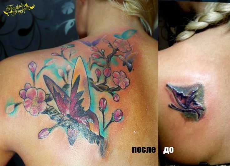 tatu_sakura-296