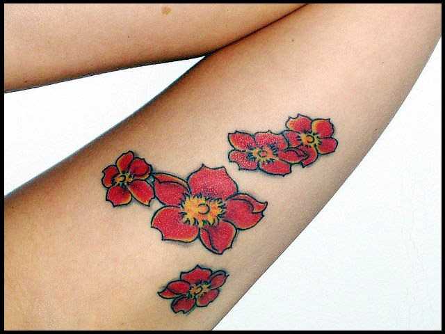 tatu_sakura-300