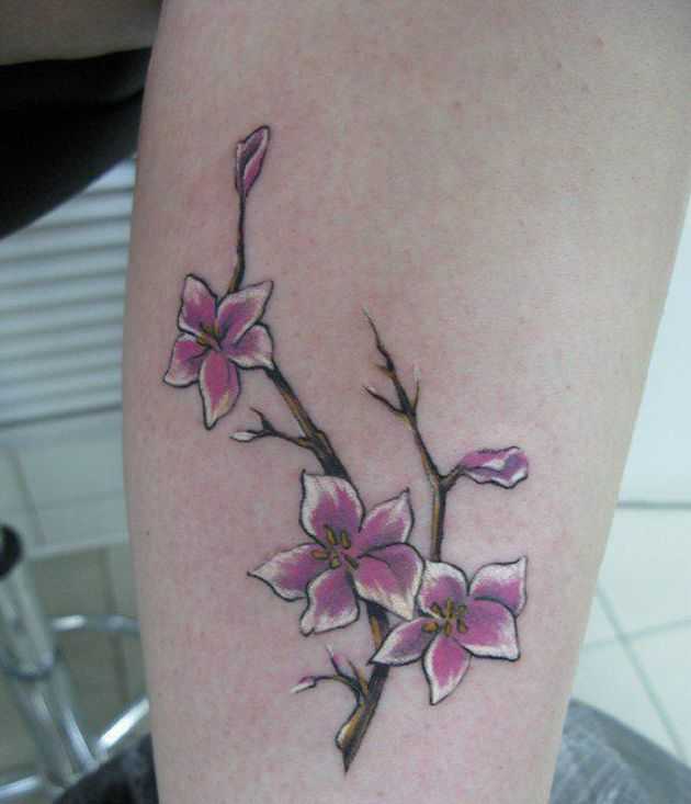 tatu_sakura-53