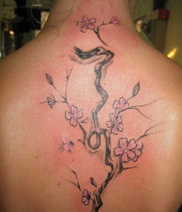 tatu_sakura-6