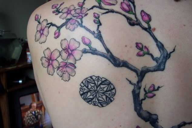tatu_sakura-95