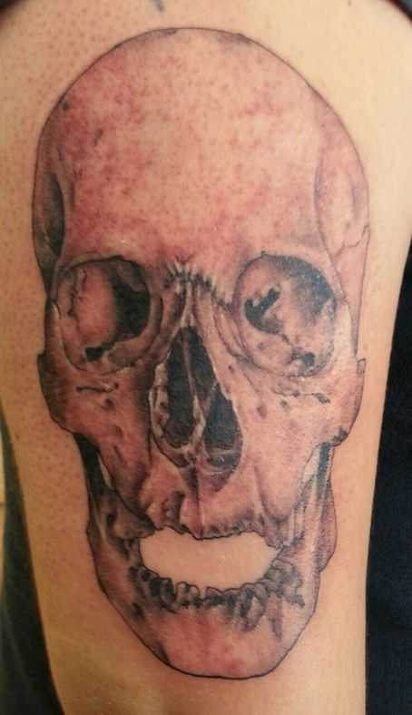 tatu_skelet-104