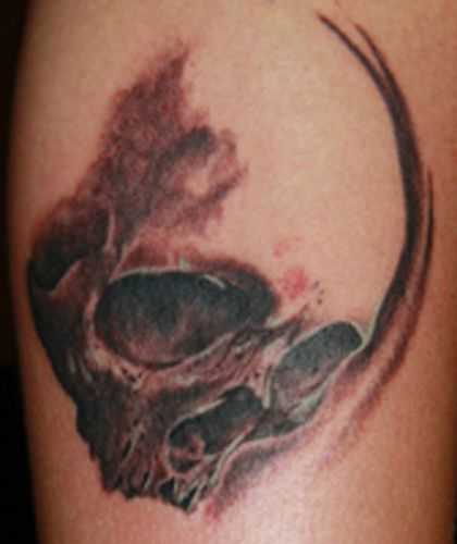 tatu_skelet-16