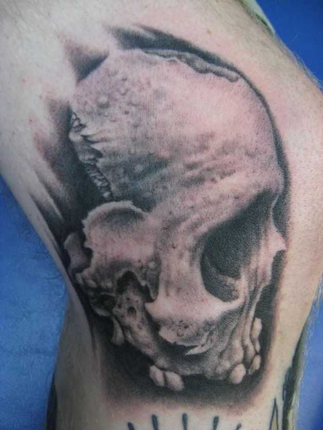 tatu_skelet-38