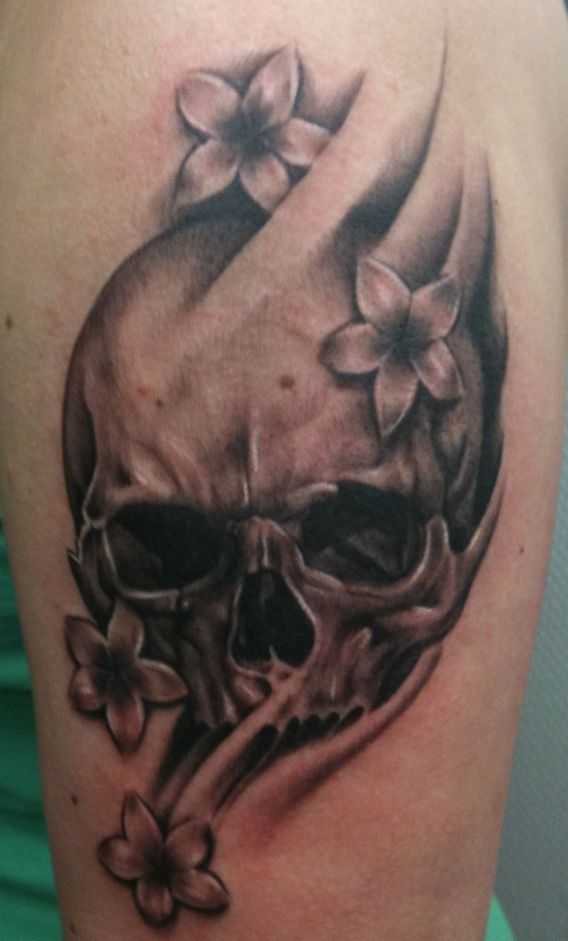 tatu_skelet-58