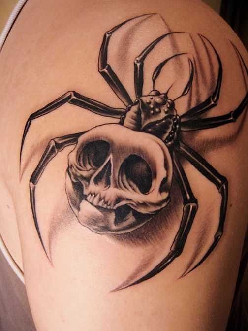 tatu_skelet-68