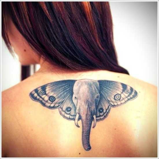 tatu_slon-1
