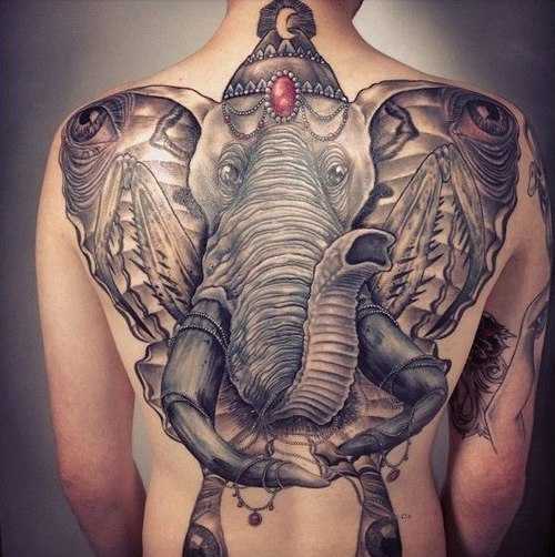 tatu_slon-130