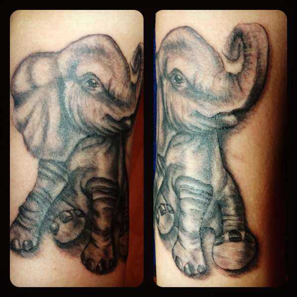 tatu_slon-25