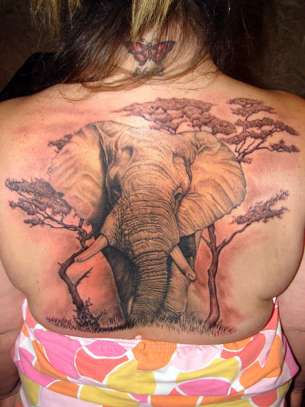 tatu_slon-50