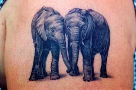 tatu_slon-53