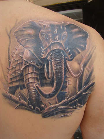 tatu_slon-6