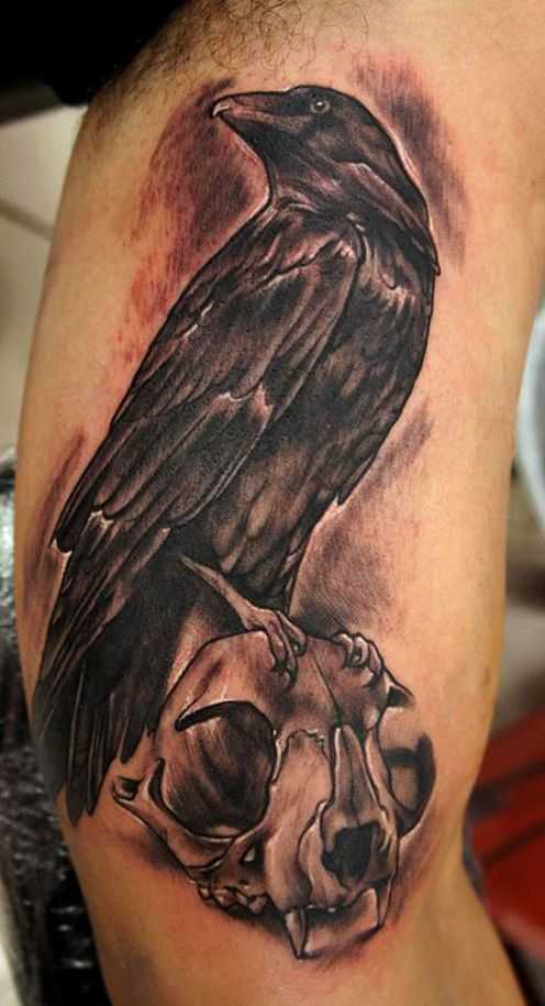 tatu_voron-18