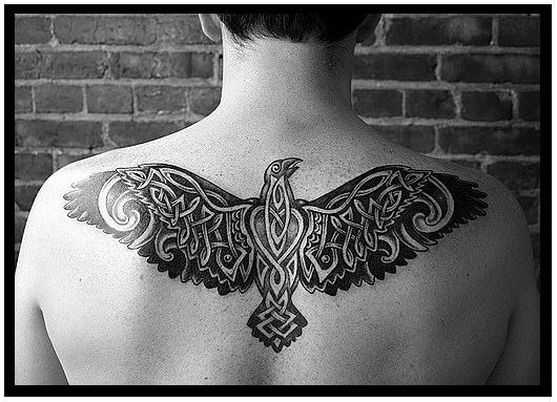 tatu_voron-59